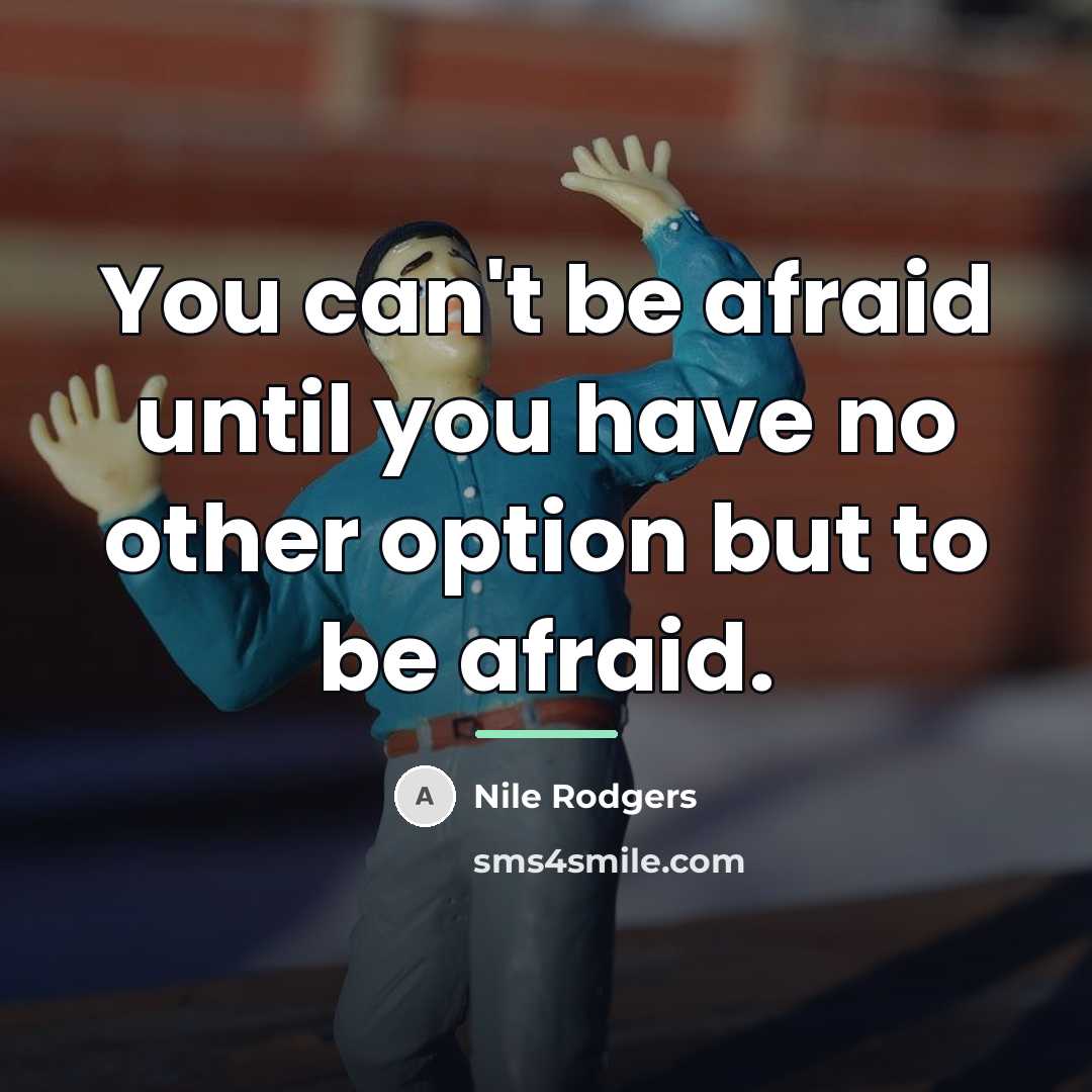 “You can't be afraid until you have no other option…” quote by Nile Rodgers