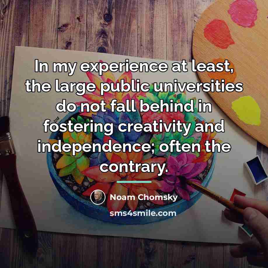 “In my experience at least, the large public universities do…” quote by Noam Chomsky