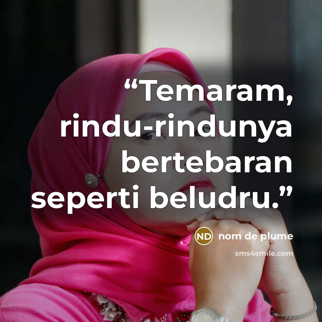 “Temaram, rindu-rindunya bertebaran seperti beludru.” quote by nom de plume