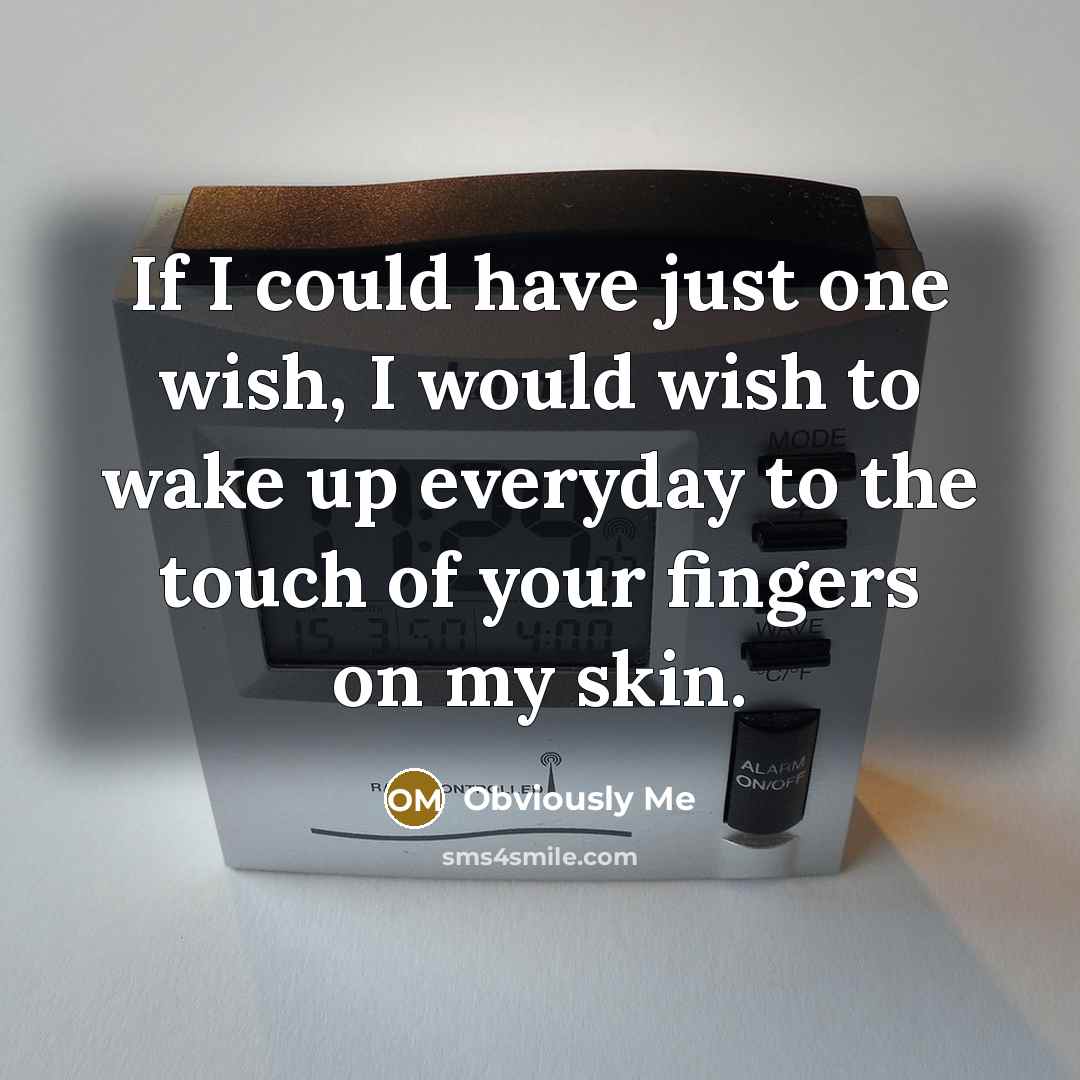 “If I could have just one wish, I would wish…” quote by Obviously Me