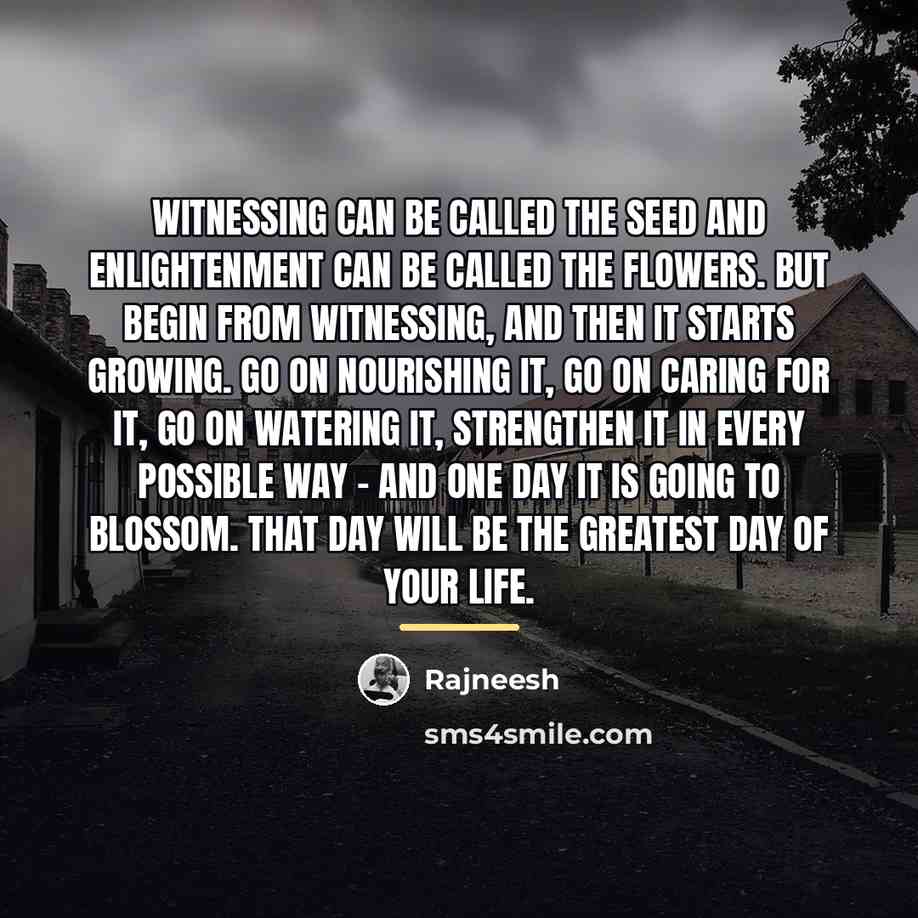 “Witnessing can be called the seed and enlightenment can be…” quote by Rajneesh