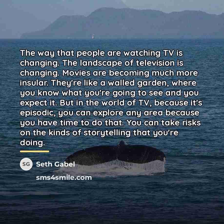 “The way that people are watching TV is changing. The…” quote by Seth Gabel