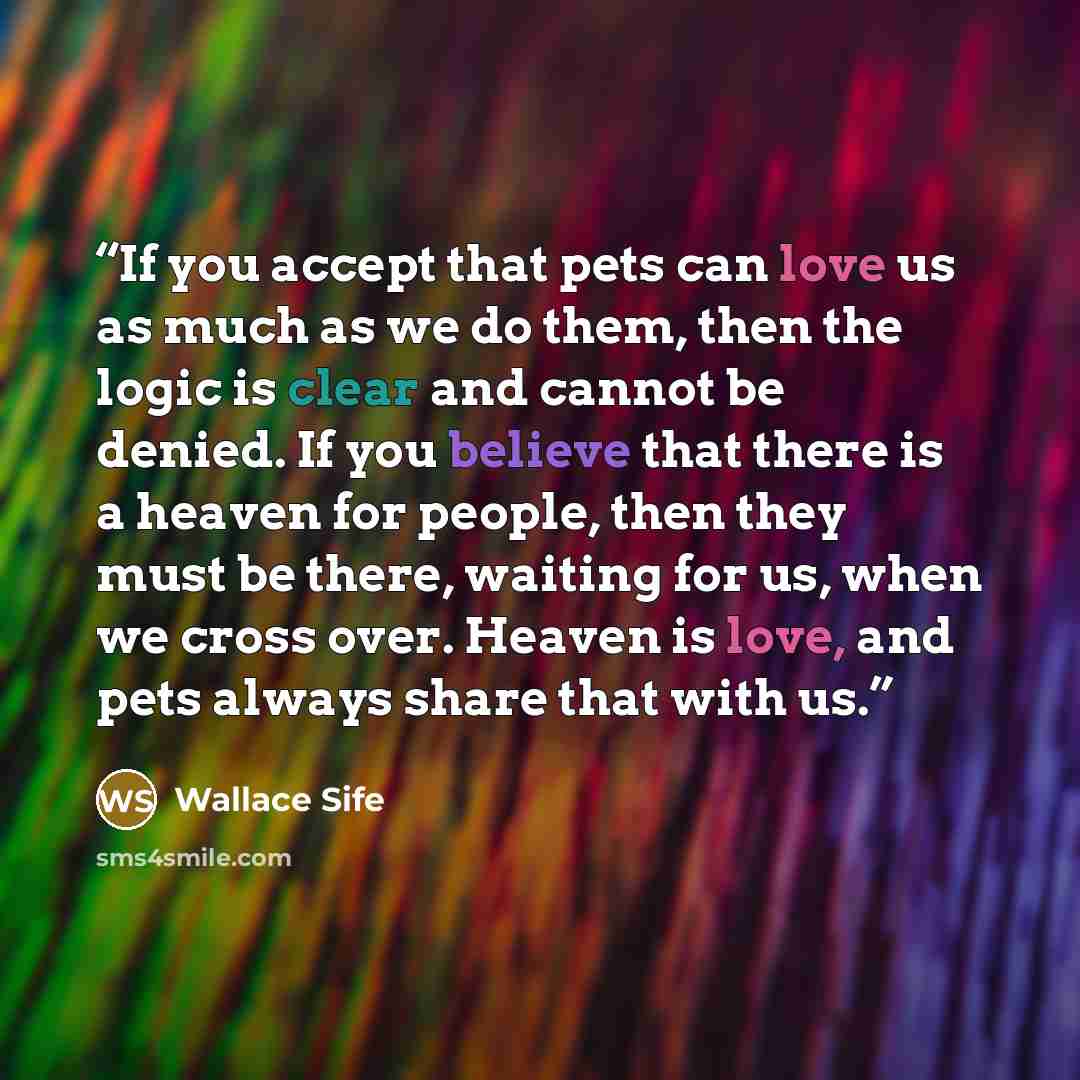 “If you accept that pets can love us as much as we do them, then the logic is clear and cannot be denied. If you believe that there is a heaven for people, then they must be there, waiting for us, when we cross over. Heaven is love, and pets always share that with us.” quote by Wallace Sife