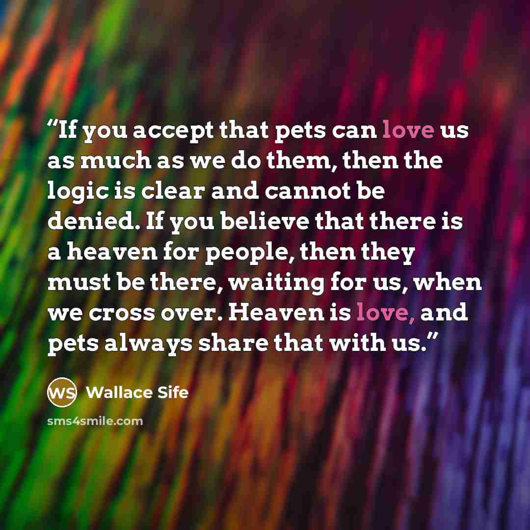 “If you accept that pets can love us as much as we do them, then the logic is clear and cannot be denied. If you believe that there is a heaven for people, then they must be there, waiting for us, when we cross over. Heaven is love, and pets always share that with us.” quote by Wallace Sife