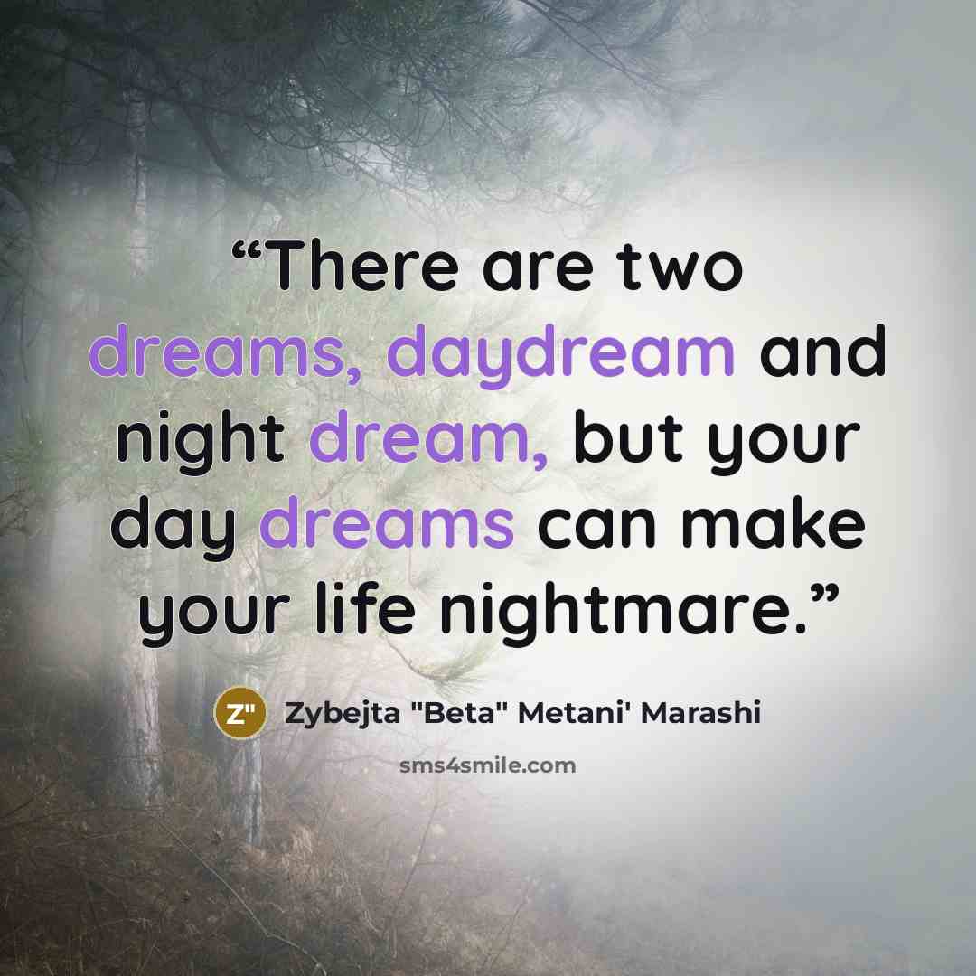 “There are two dreams, daydream and night dream, but your day dreams can make your life nightmare.” quote by Zybejta "Beta" Metani' Marashi