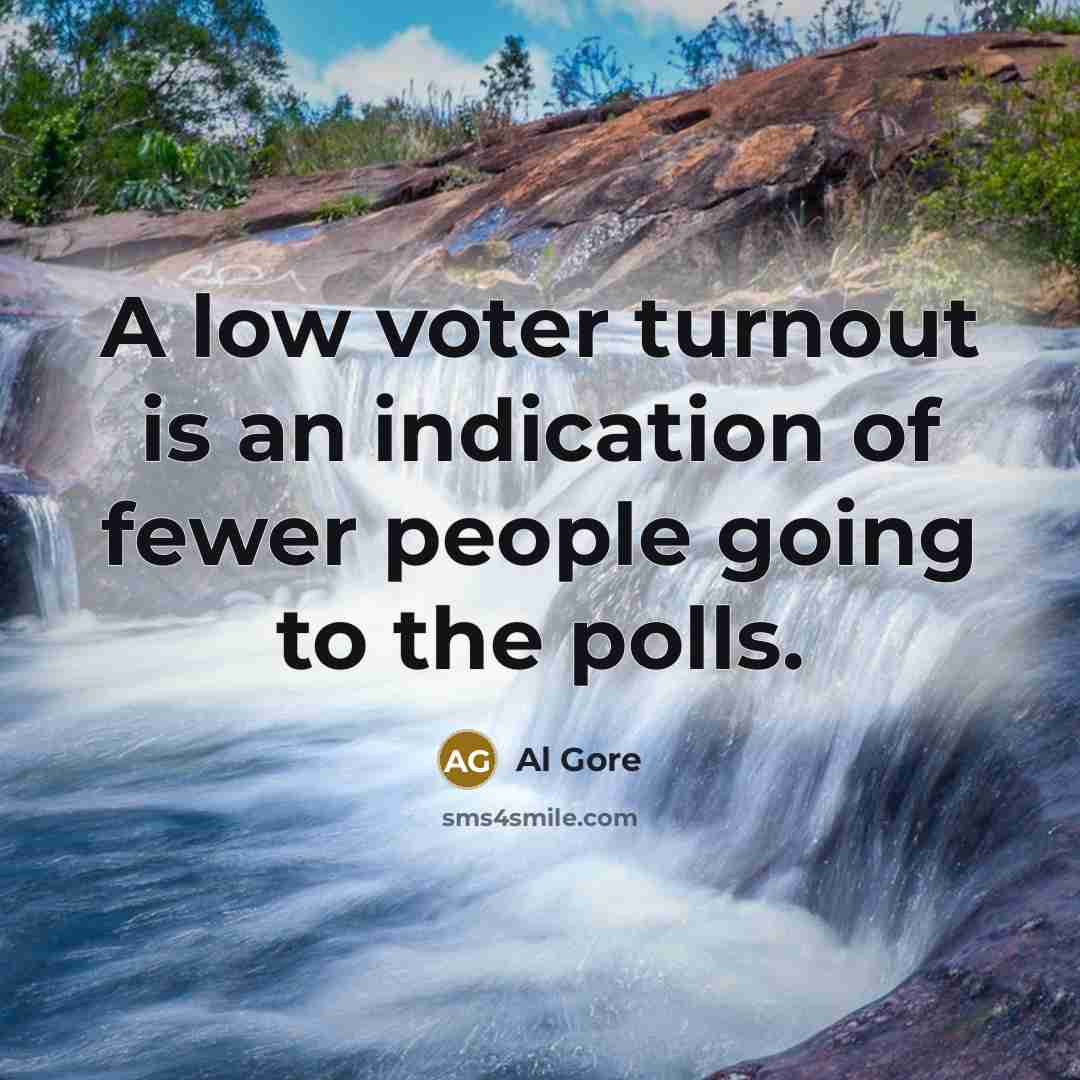 “A low voter turnout is an indication of fewer people…” quote by Al Gore