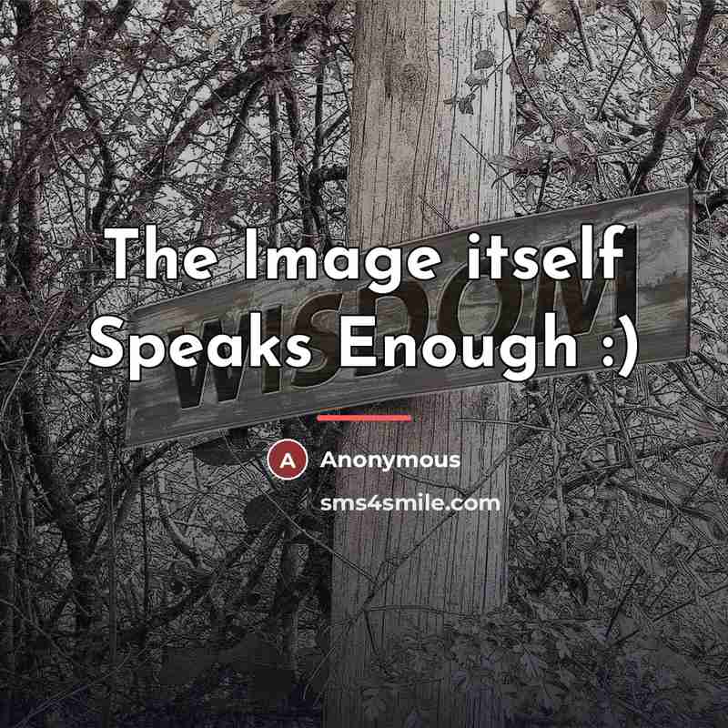 “The Image itself Speaks Enough :)…” quote by Anonymous