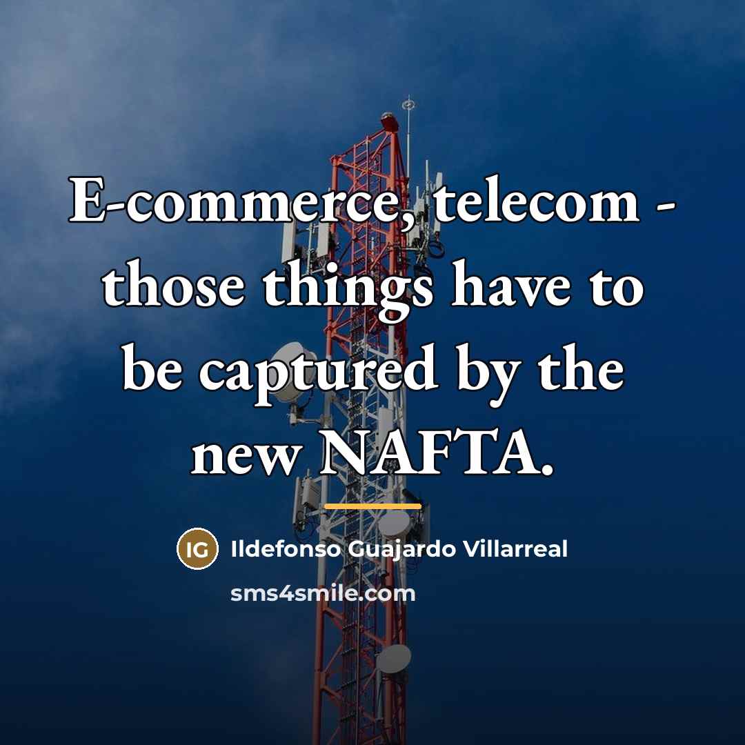 “E-commerce, telecom - those things have to be captured by…” quote by Ildefonso Guajardo Villarreal