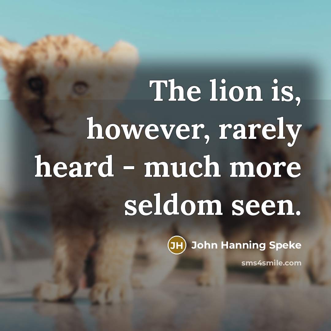 “The lion is, however, rarely heard - much more seldom…” quote by John Hanning Speke