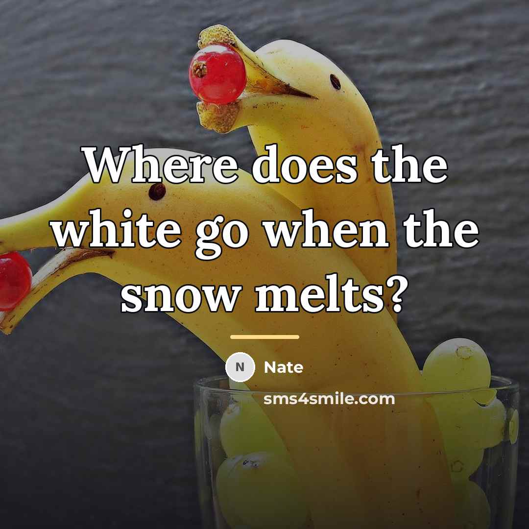 “Where does the white go when the snow melts?…” quote by Nate