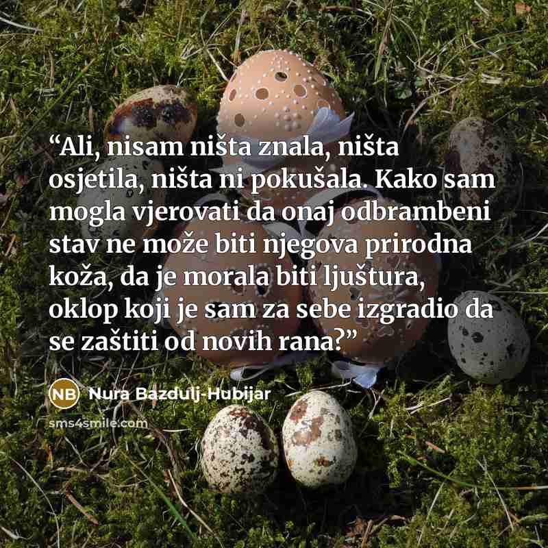 “Ali, nisam ništa znala, ništa osjetila, ništa ni pokušala. Kako sam mogla vjerovati da onaj odbrambeni stav ne može biti njegova prirodna koža, da je morala biti ljuštura, oklop koji je sam za sebe izgradio da se zaštiti od novih rana?” quote by Nura Bazdulj-Hubijar
