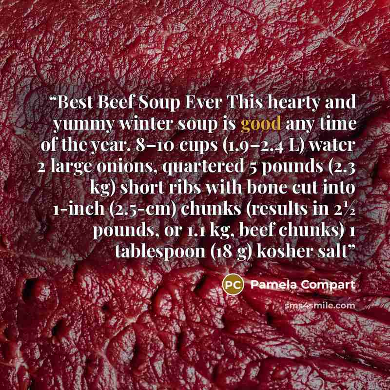 “Best Beef Soup Ever This hearty and yummy winter soup is good any time of the year. 8–10 cups (1.9–2.4 L) water 2 large onions, quartered 5 pounds (2.3 kg) short ribs with bone cut into 1-inch (2.5-cm) chunks (results in 2½ pounds, or 1.1 kg, beef chunks) 1 tablespoon (18 g) kosher salt” quote by Pamela Compart
