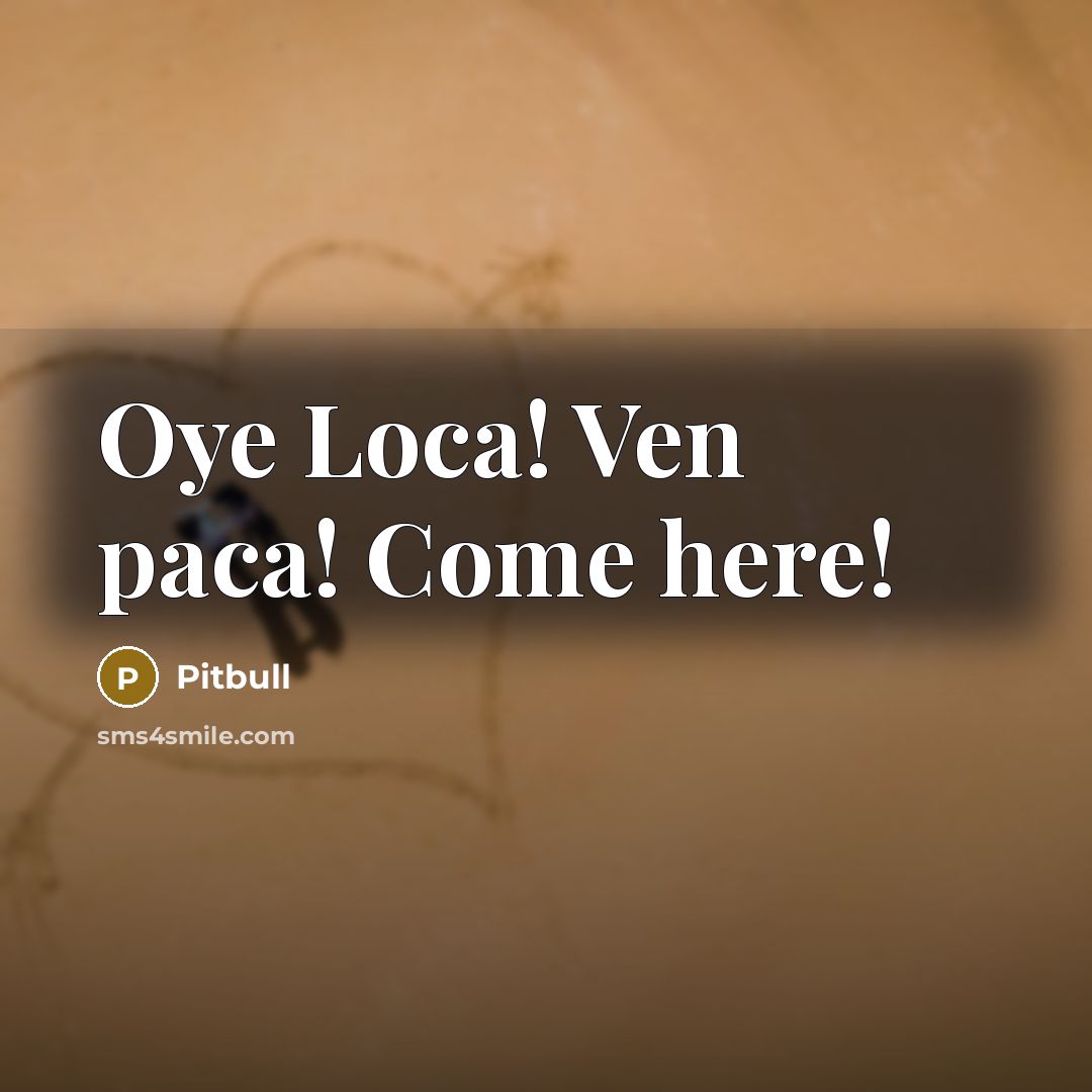“Oye Loca! Ven paca! Come here!” quote by Pitbull