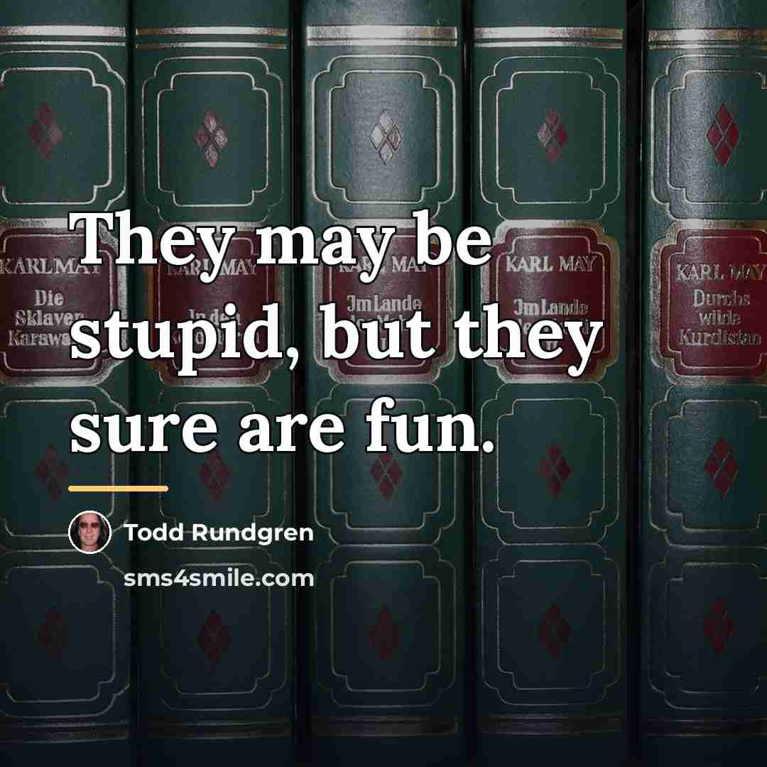 “They may be stupid, but they sure are fun.…” quote by Todd Rundgren
