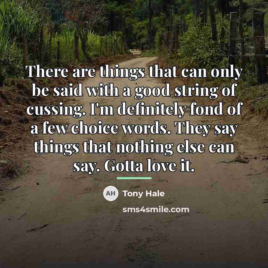 “There are things that can only be said with a…” quote by Tony Hale