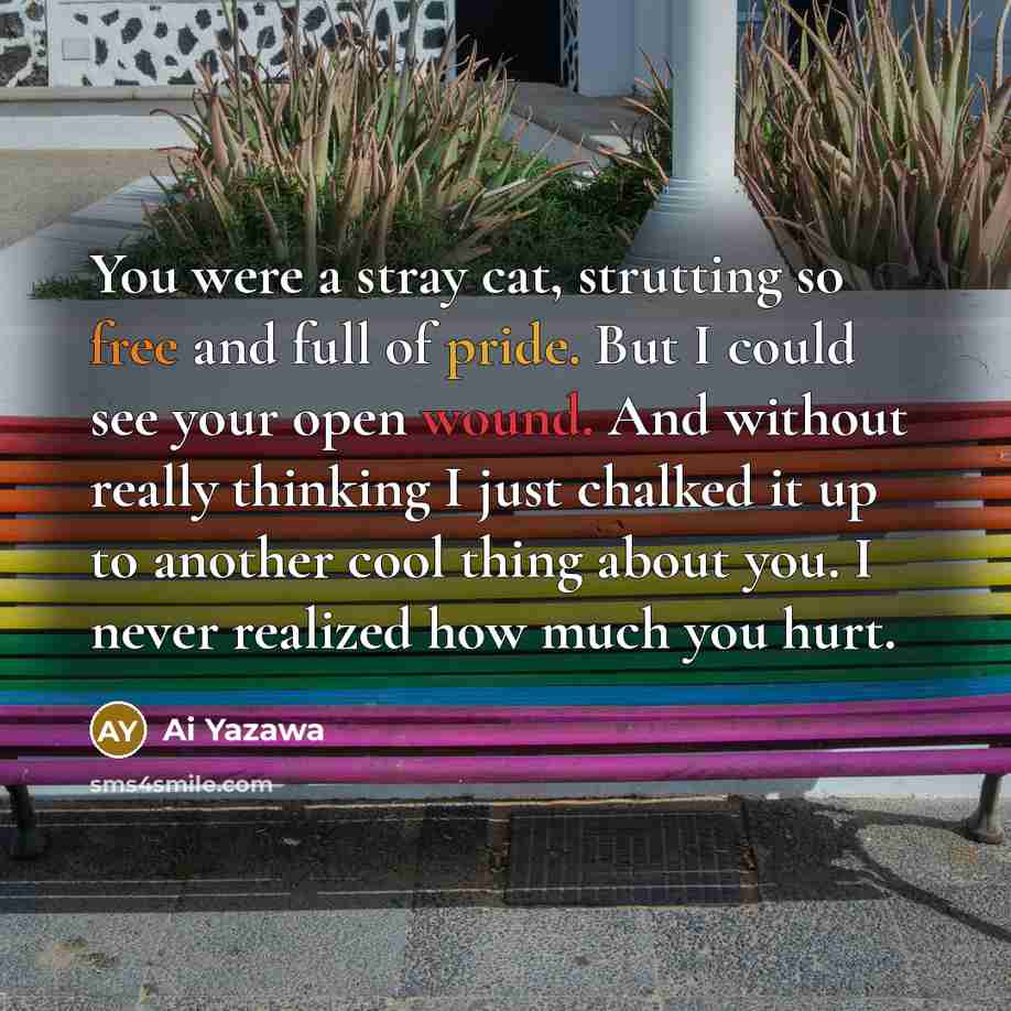 “You were a stray cat, strutting so free and full…” quote by Ai Yazawa