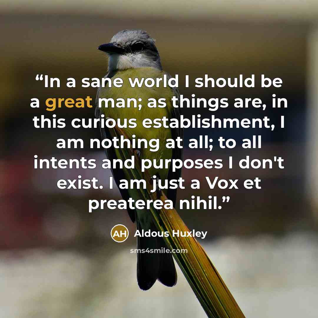 “In a sane world I should be a great man; as things are, in this curious establishment, I am nothing at all; to all intents and purposes I don't exist. I am just a Vox et preaterea nihil.” quote by Aldous Huxley
