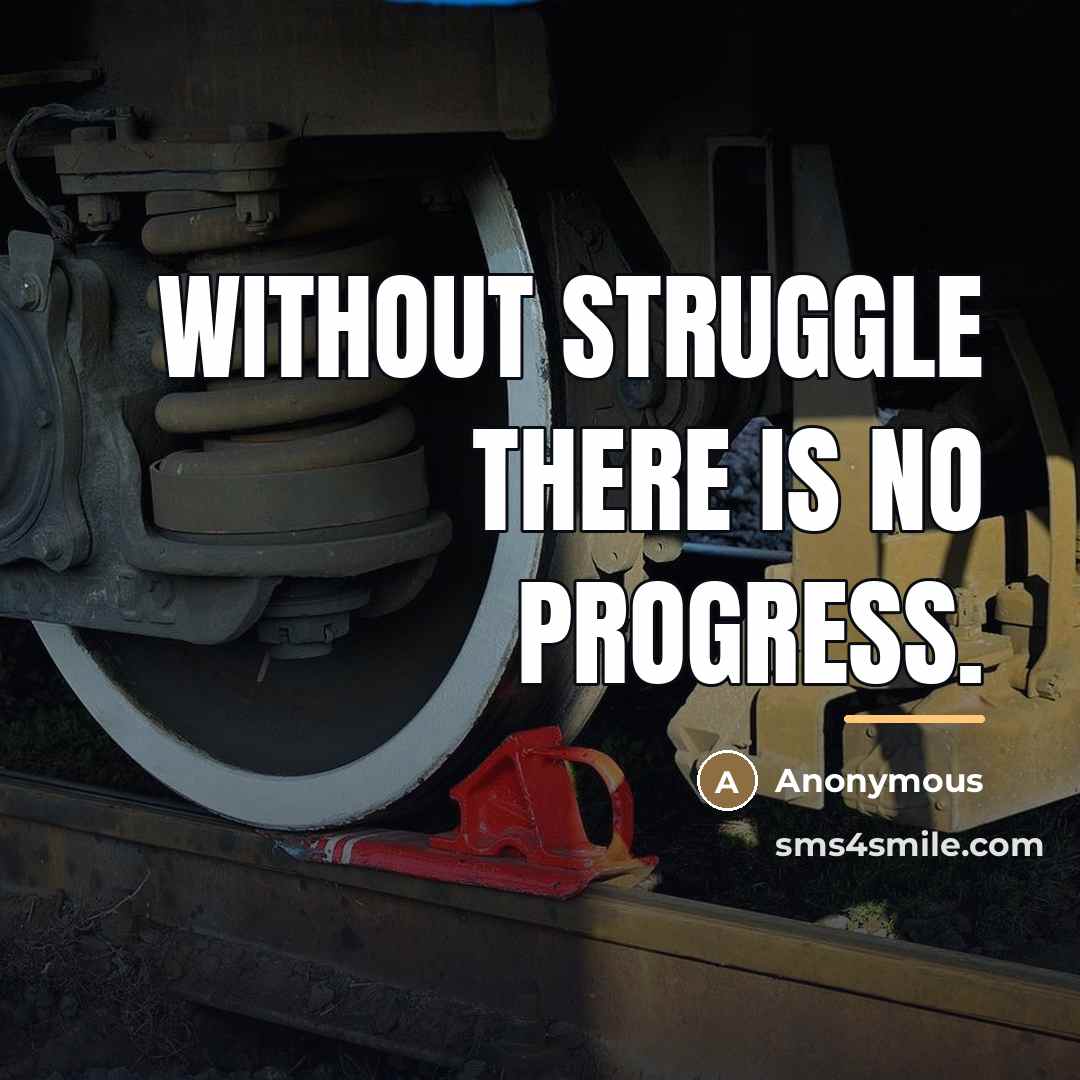 “Without struggle there is no progress.…” quote by Anonymous