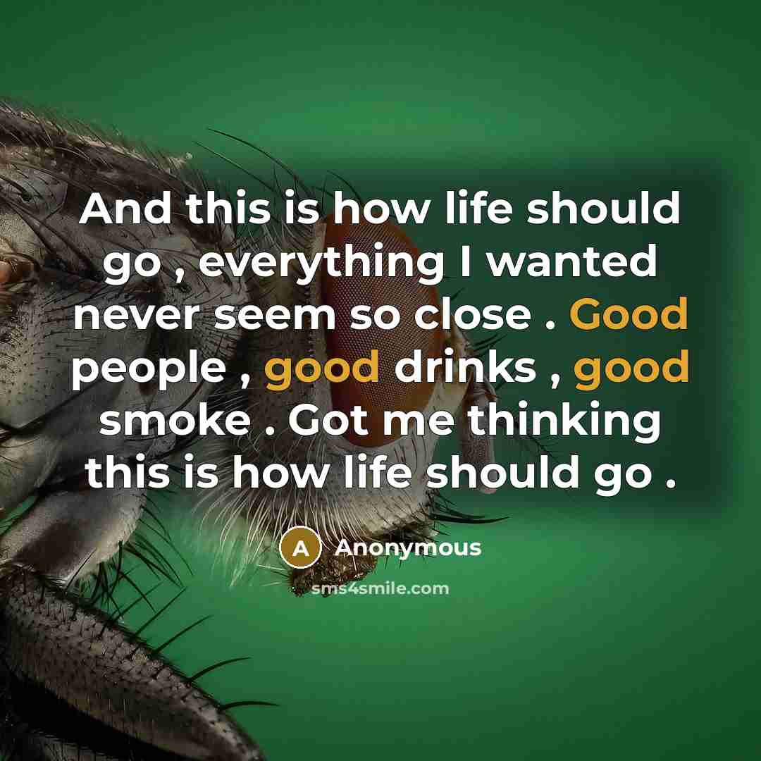 “And this is how life should go , everything I wanted never seem so close . Good people , good drinks , good smoke . Got me thinking this is how life should go .” quote by Anonymous