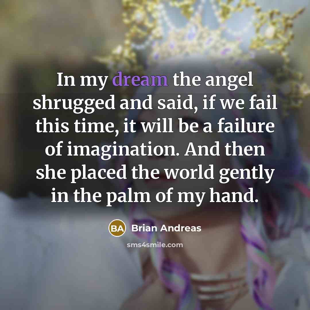 “In my dream the angel shrugged and said, if we…” quote by Brian Andreas