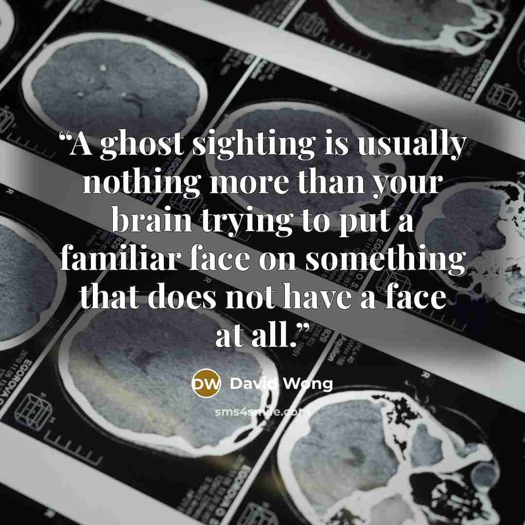 “A ghost sighting is usually nothing more than your brain trying to put a familiar face on something that does not have a face at all.” quote by David Wong