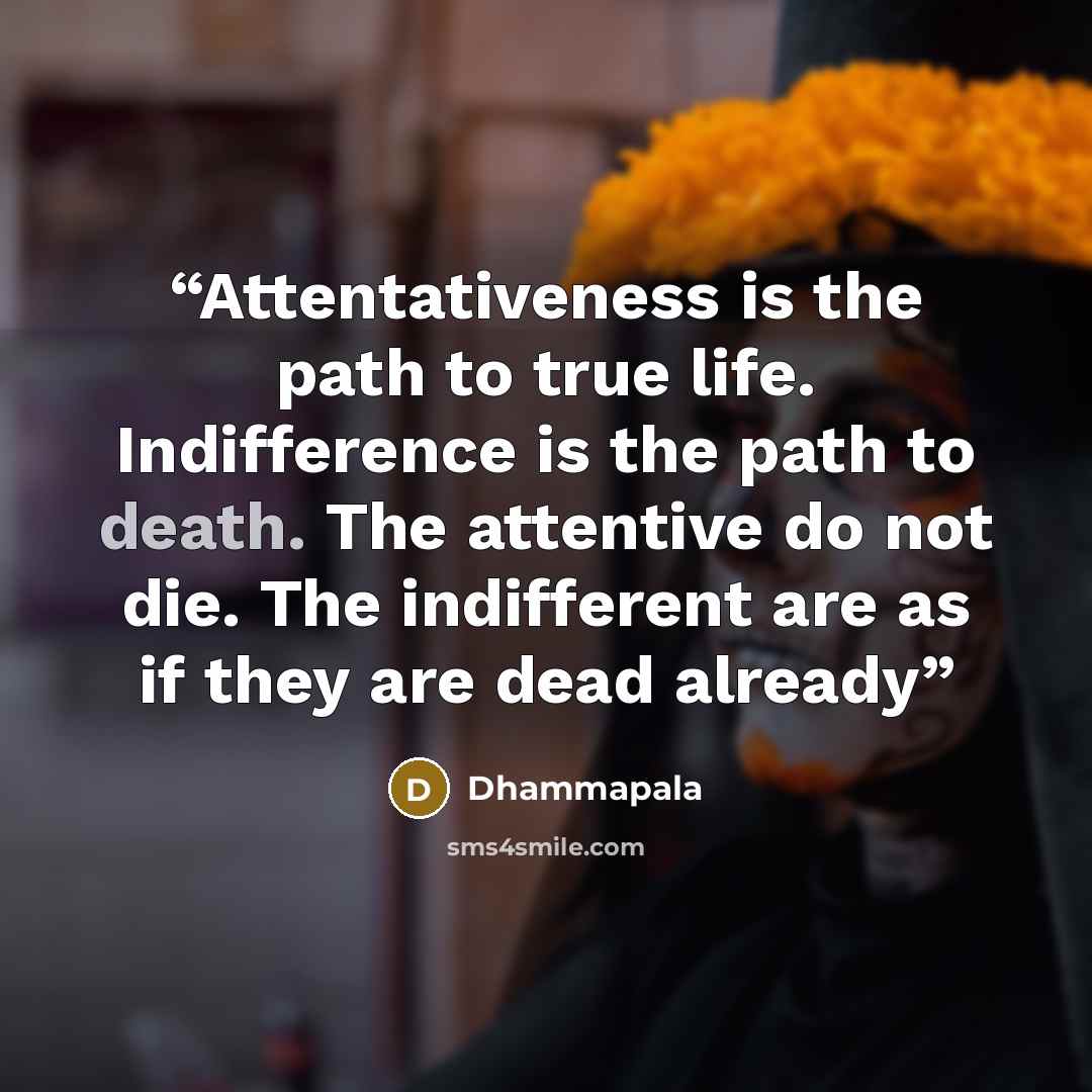“Attentativeness is the path to true life. Indifference is the path to death. The attentive do not die. The indifferent are as if they are dead already” quote by Dhammapala