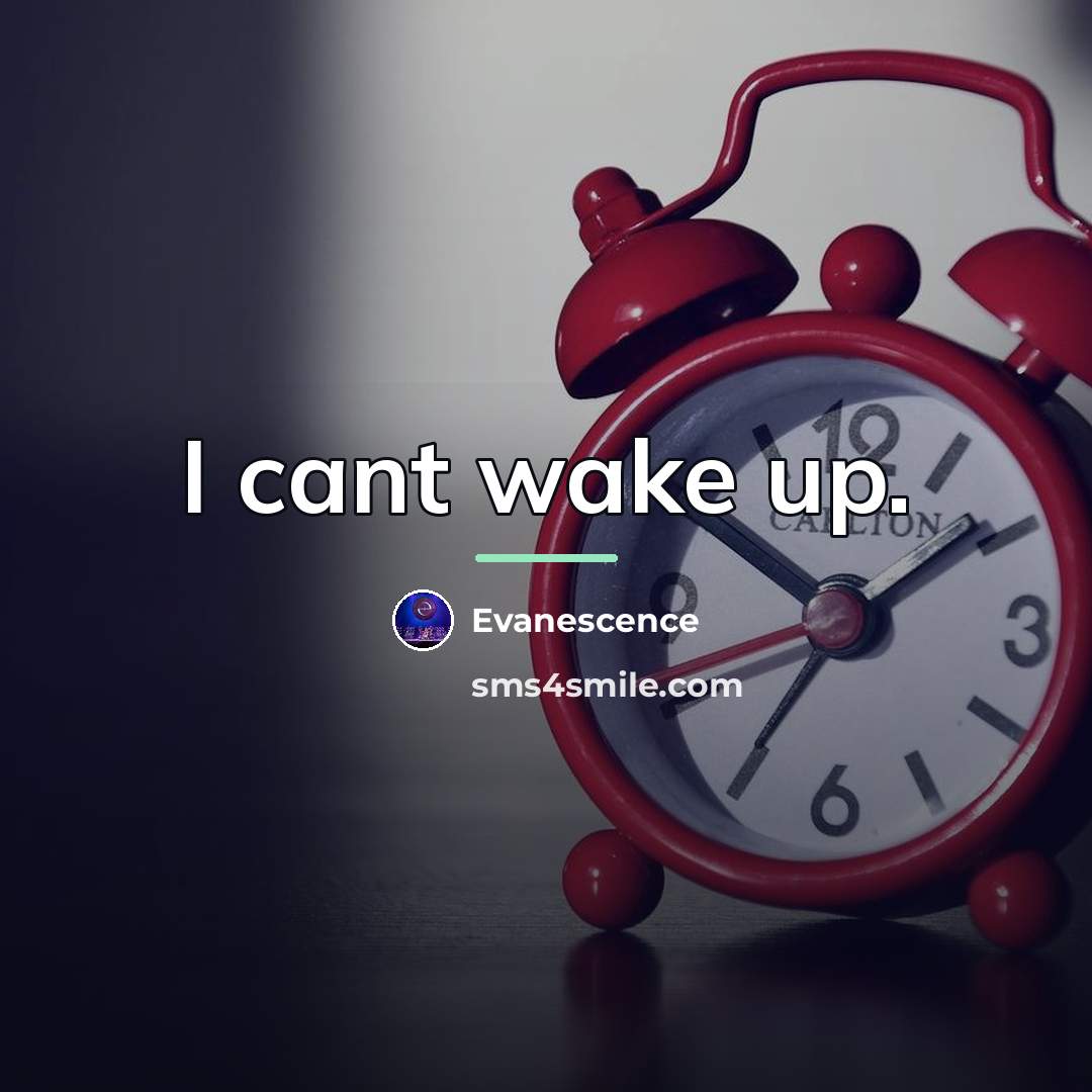 “I cant wake up.…” quote by Evanescence