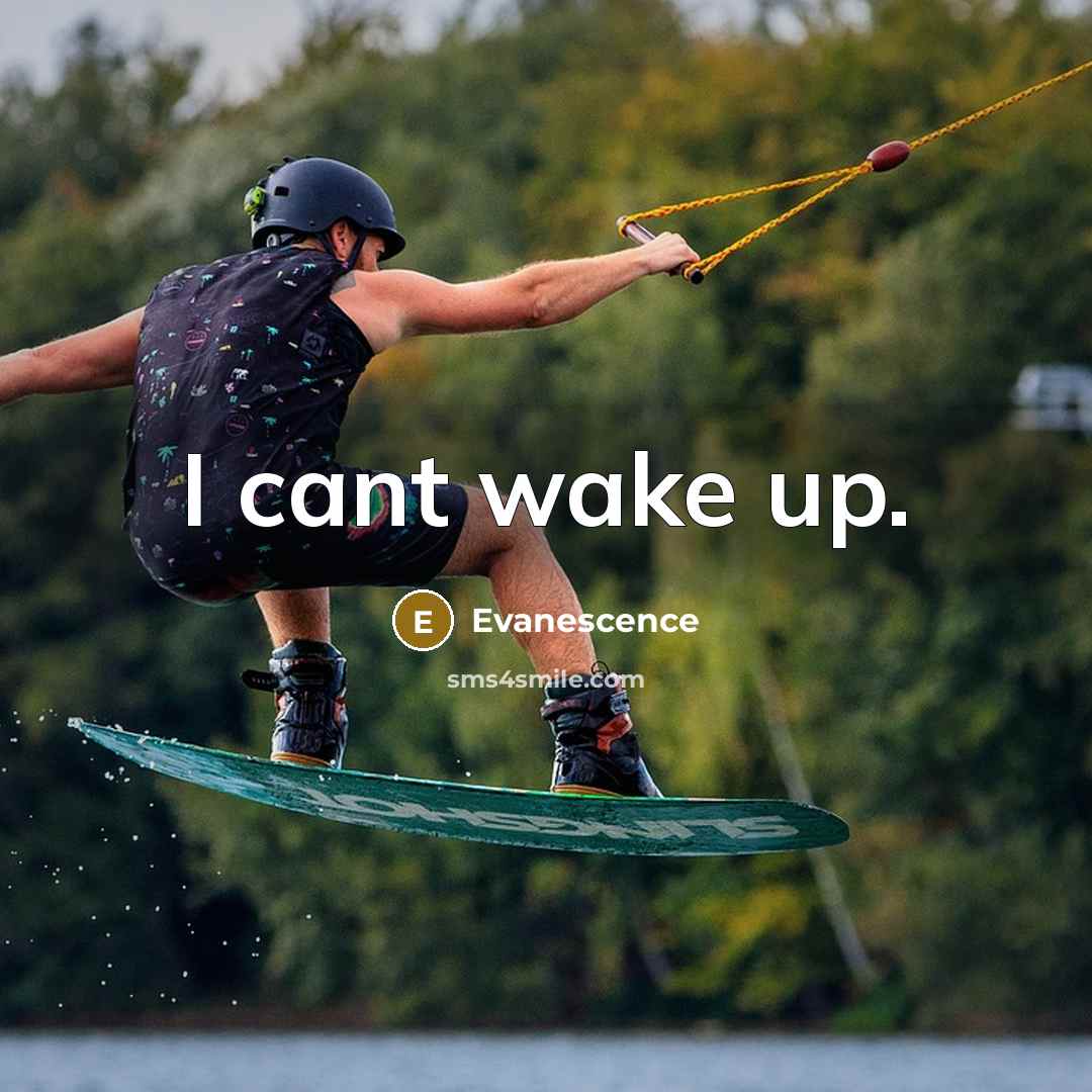 “I cant wake up.” quote by Evanescence