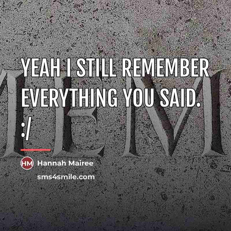 “Yeah I still remember everything you said. :/…” quote by Hannah Mairee