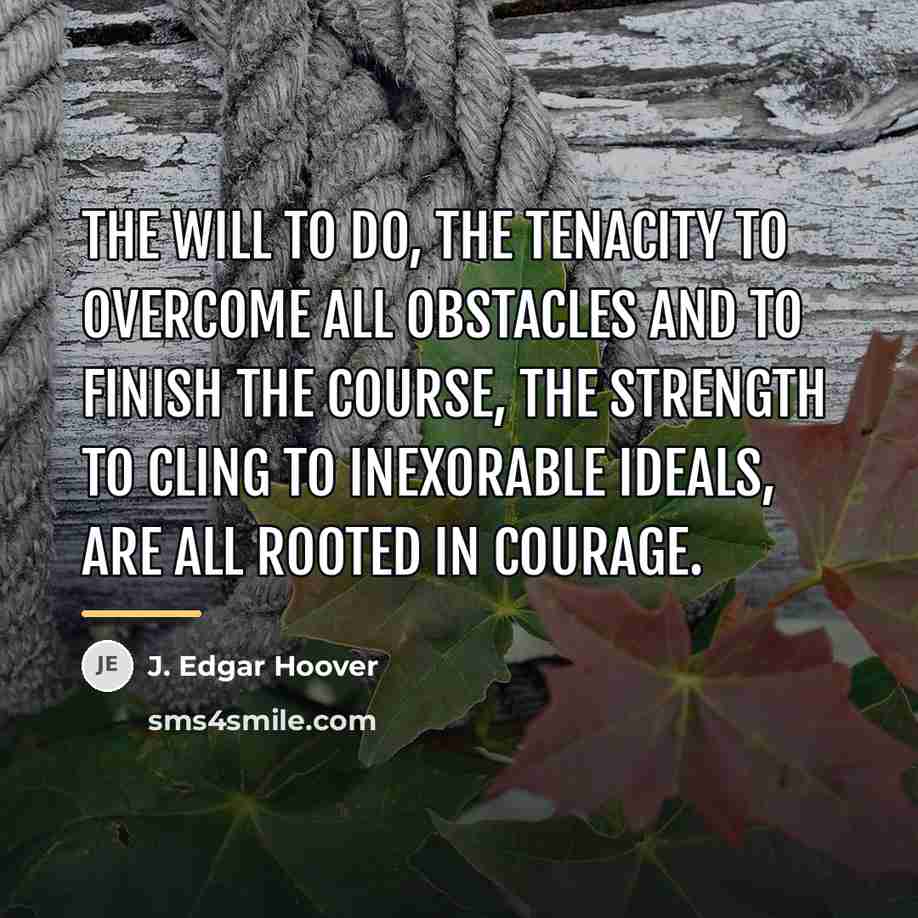 “The will to do, the tenacity to overcome all obstacles…” quote by J. Edgar Hoover