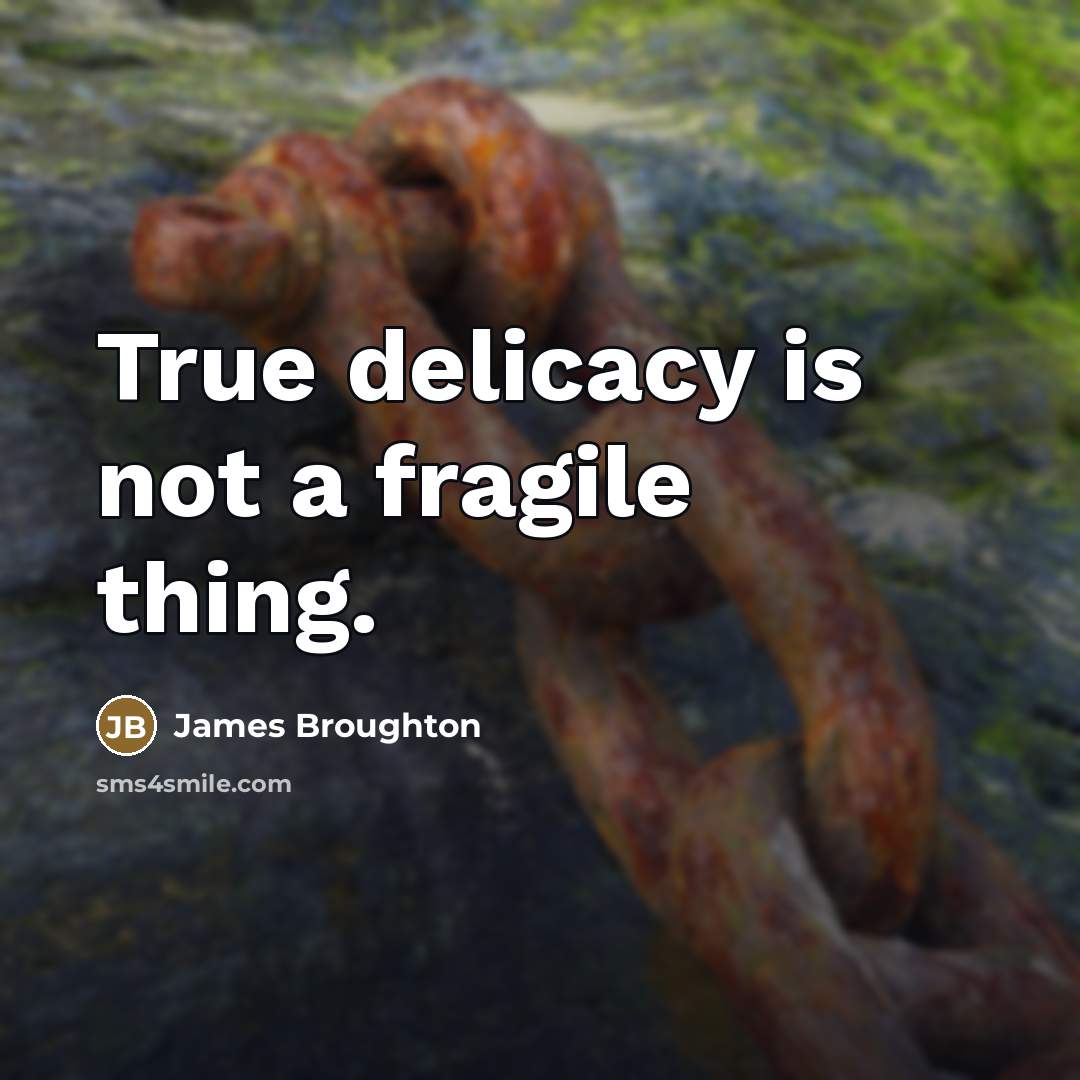 “True delicacy is not a fragile thing.…” quote by James Broughton