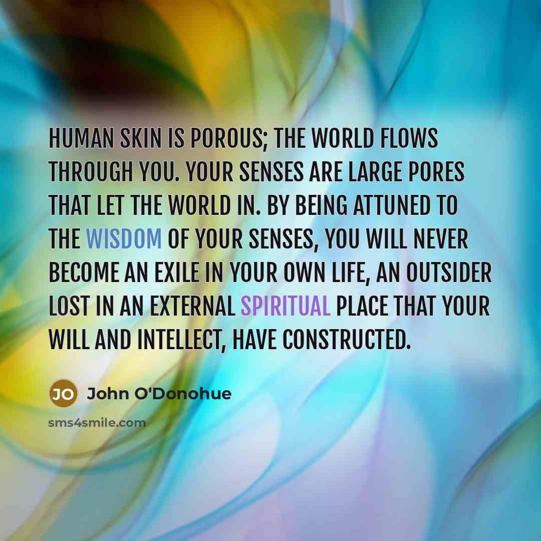 “Human skin is porous; the world flows through you. Your…” quote by John O'Donohue