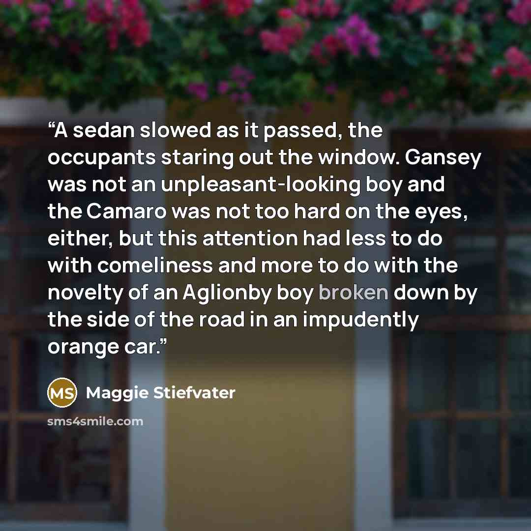 “A sedan slowed as it passed, the occupants staring out the window. Gansey was not an unpleasant-looking boy and the Camaro was not too hard on the eyes, either, but this attention had less to do with comeliness and more to do with the novelty of an Aglionby boy broken down by the side of the road…” quote by Maggie Stiefvater