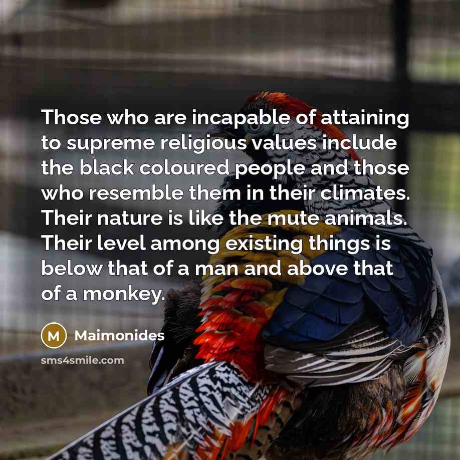 “Those who are incapable of attaining to supreme religious values…” quote by Maimonides