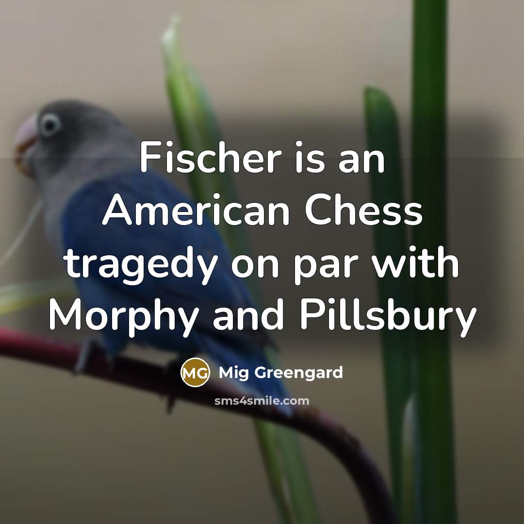 “Fischer is an American Chess tragedy on par with Morphy…” quote by Mig Greengard
