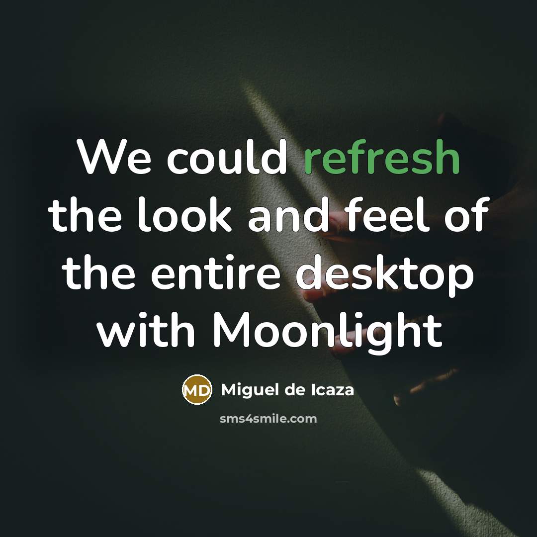 “We could refresh the look and feel of the entire…” quote by Miguel de Icaza