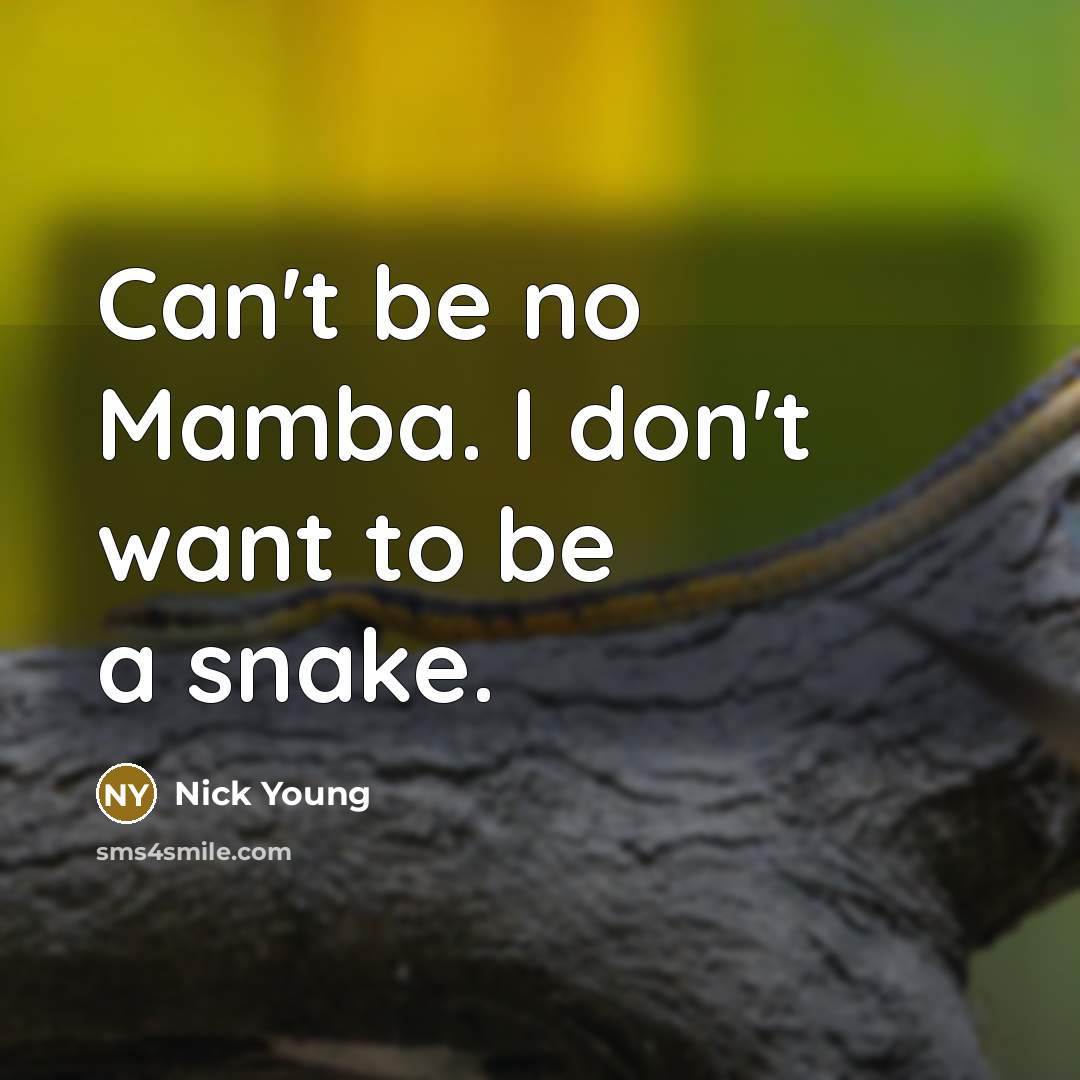 “Can't be no Mamba. I don't want to be a…” quote by Nick Young