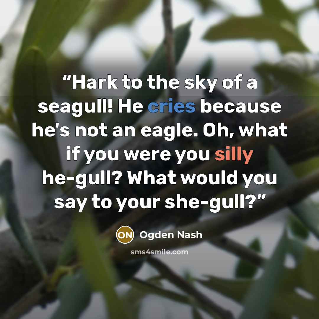 “Hark to the sky of a seagull! He cries because he's not an eagle. Oh, what if you were you silly he-gull? What would you say to your she-gull?” quote by Ogden Nash