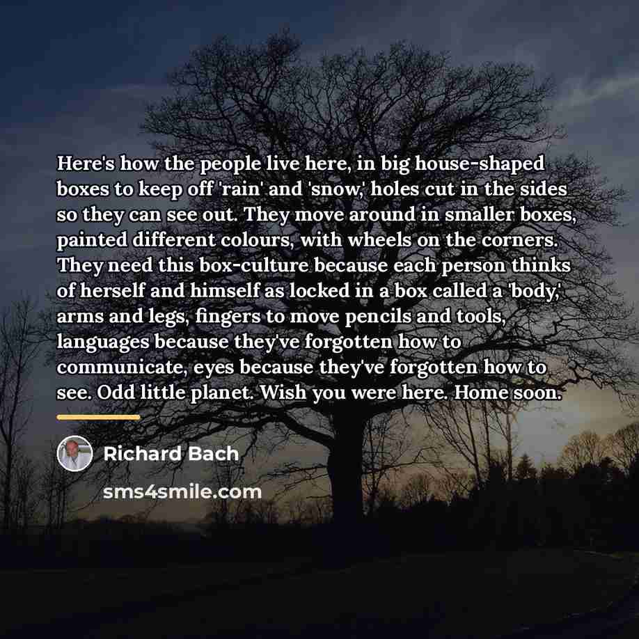 “Here's how the people live here, in big house-shaped boxes…” quote by Richard Bach