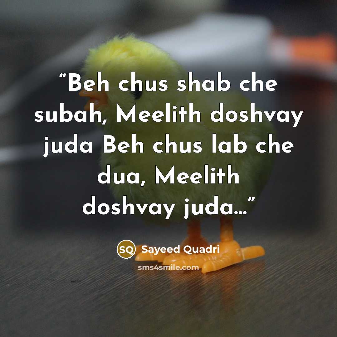 “Beh chus shab che subah, Meelith doshvay juda Beh chus lab che dua, Meelith doshvay juda…” quote by Sayeed Quadri