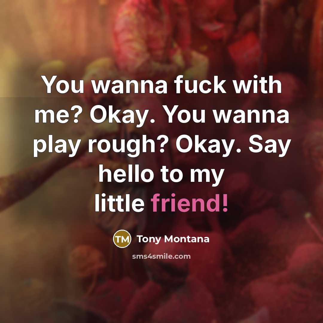 “You wanna fuck with me? Okay. You wanna play rough?…” quote by Tony Montana