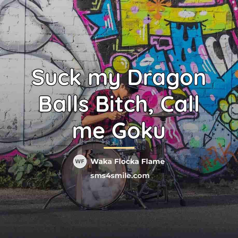 “Suck my Dragon Balls Bitch, Call me Goku…” quote by Waka Flocka Flame