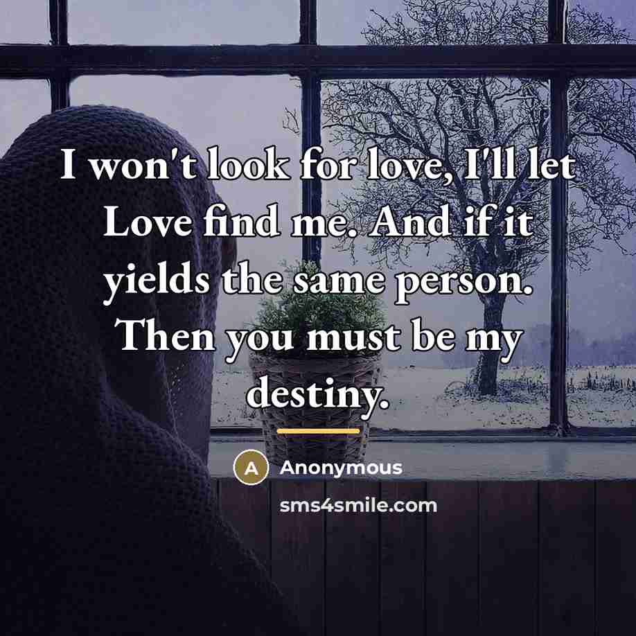 “I won't look for love, I'll let Love find me.…” quote by Anonymous