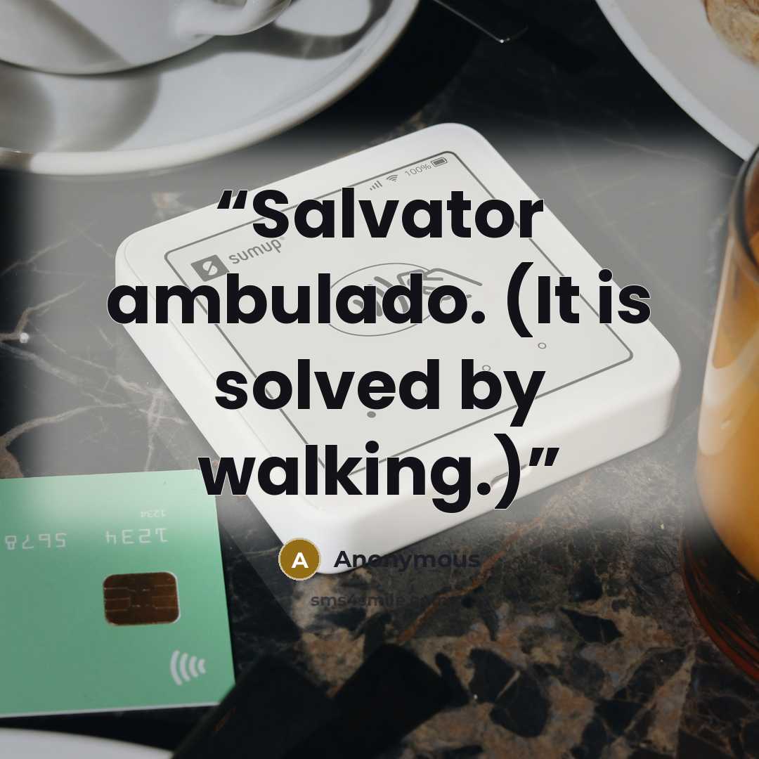 “Salvator ambulado. (It is solved by walking.)” quote by Anonymous