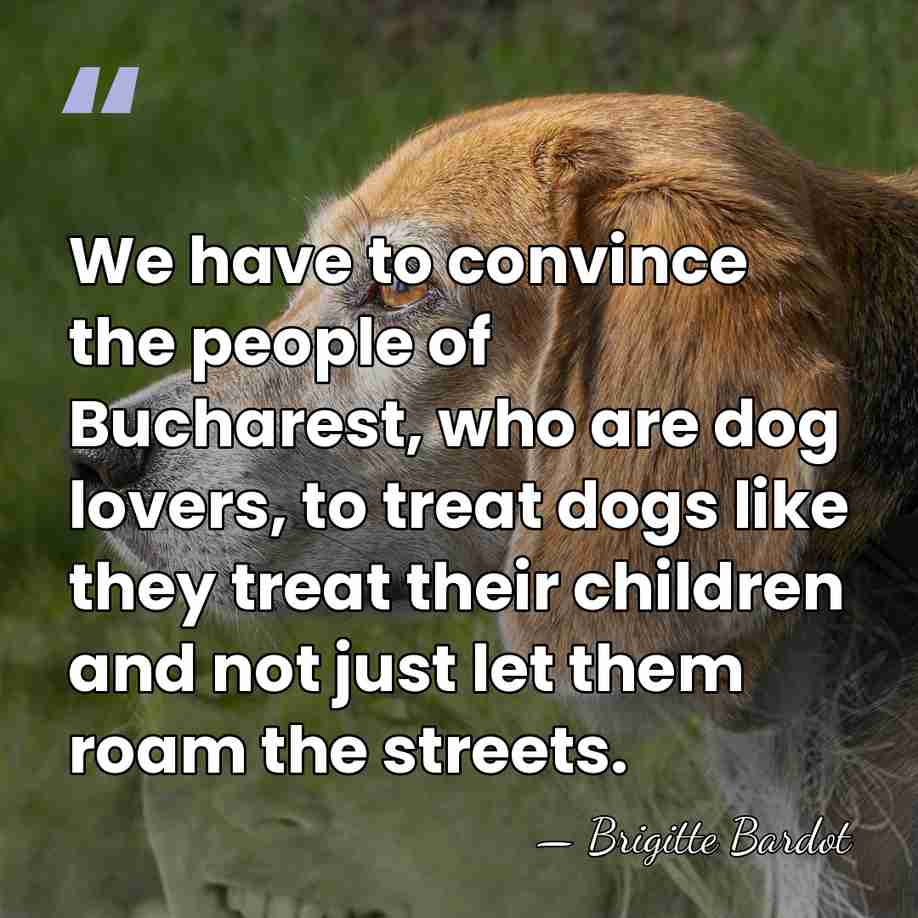 We have to convince the people of Bucharest, who are dog lovers,&hellip; - Brigitte Bardot