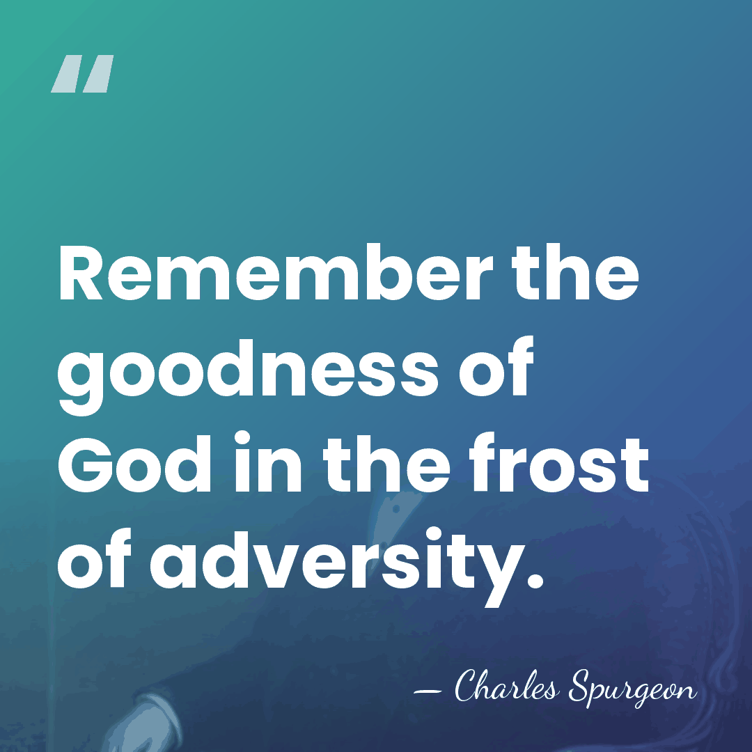 Remember the goodness of God in the frost of adversity. - Charles Spurgeon