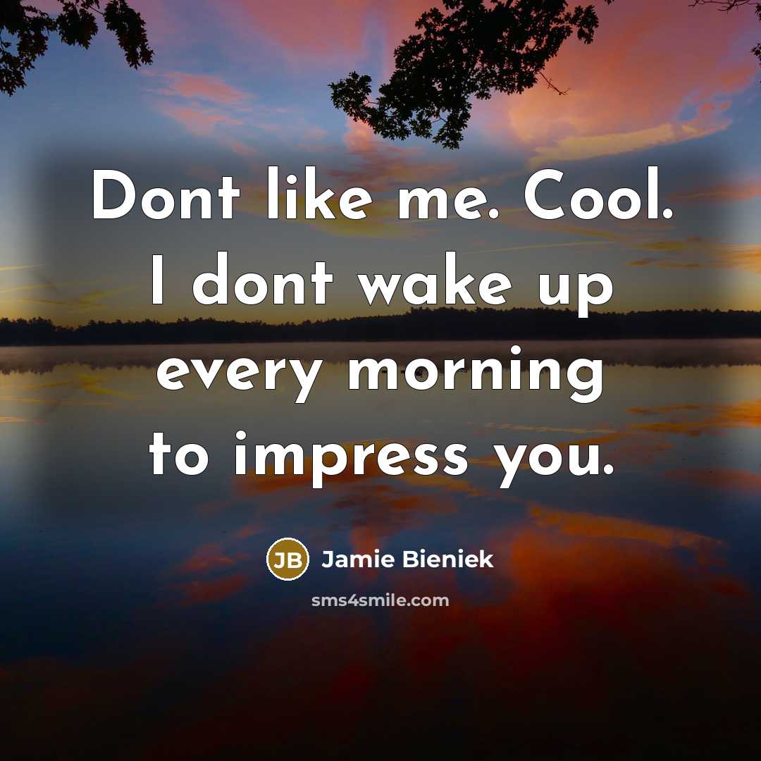 “Dont like me. Cool. I dont wake up every morning to impress you.” quote by Jamie Bieniek