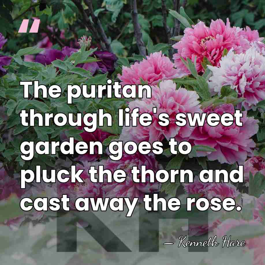 The puritan through life's sweet garden goes to pluck the thorn and&hellip; - Kenneth Hare