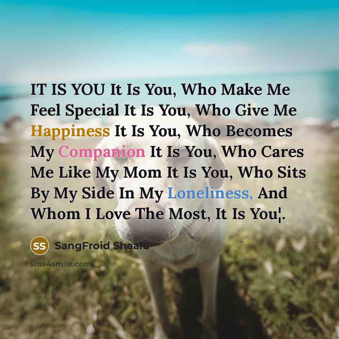 “IT IS YOU It Is You, Who Make Me Feel…” quote by SangFroid Shaalu