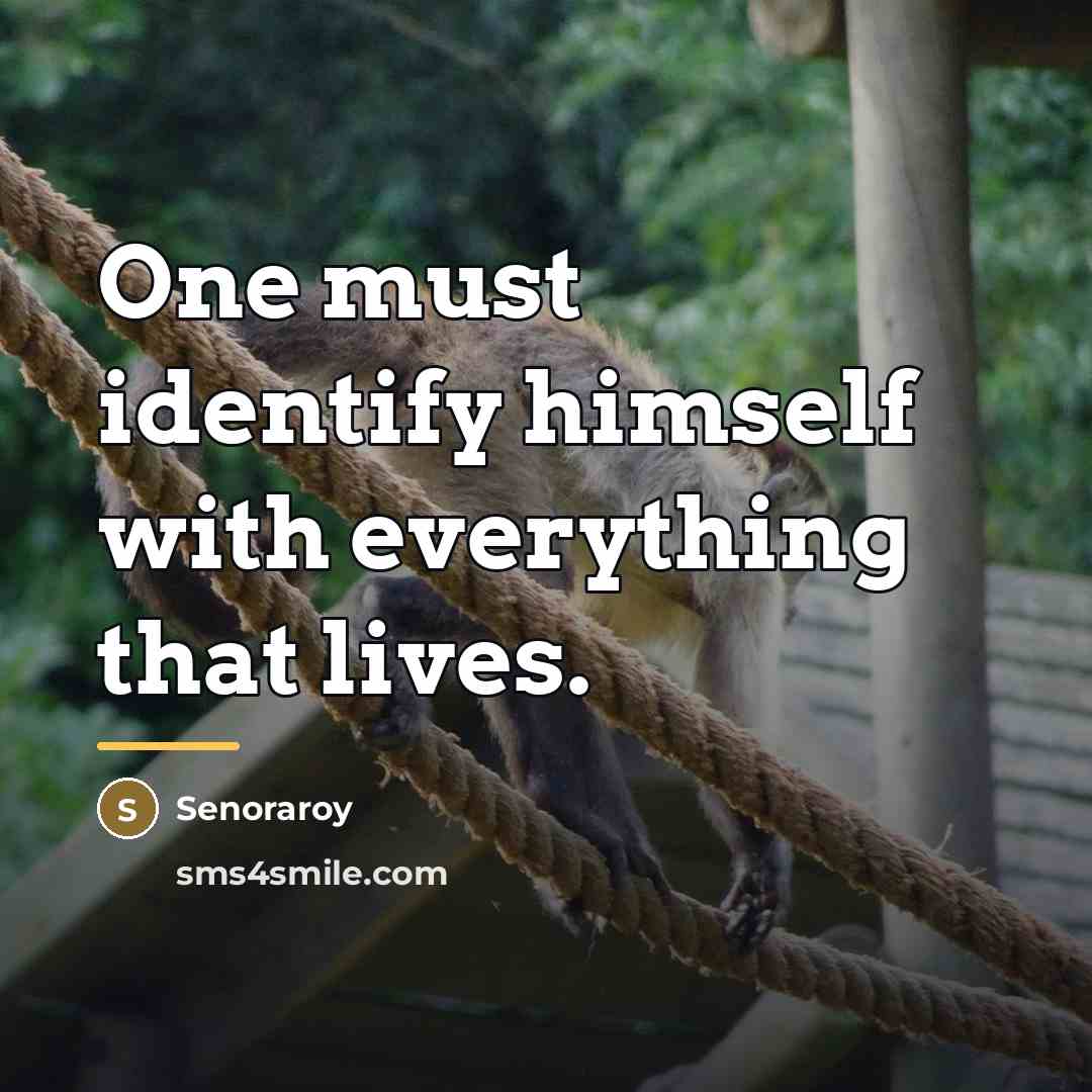 “One must identify himself with everything that lives.…” quote by Senoraroy